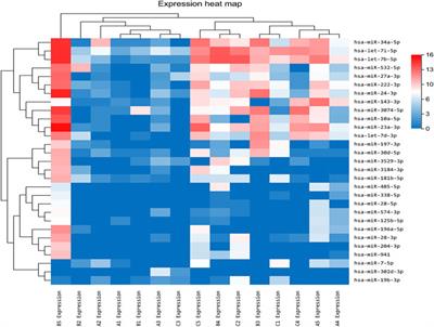 The Aflibercept-Induced MicroRNA Profile in the Vitreous of Proliferative Diabetic Retinopathy Patients Detected by Next-Generation Sequencing